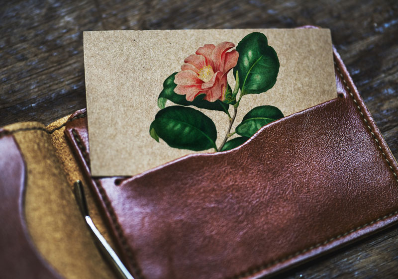 ¿Cómo limpiar una cartera de piel?